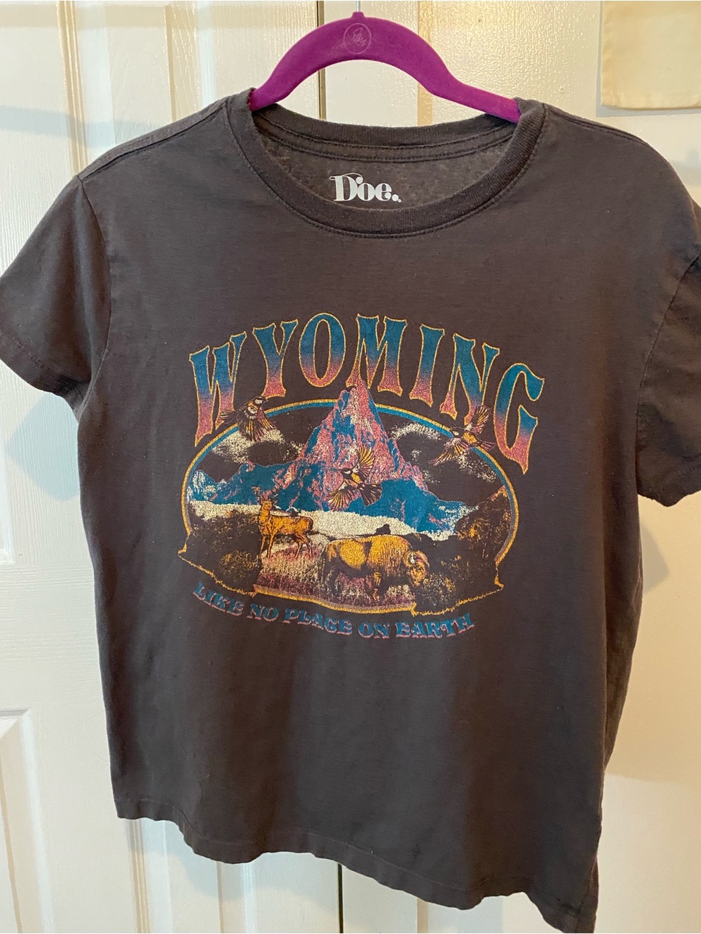 Women’s Wyoming Graphic Tee in Charcoal
